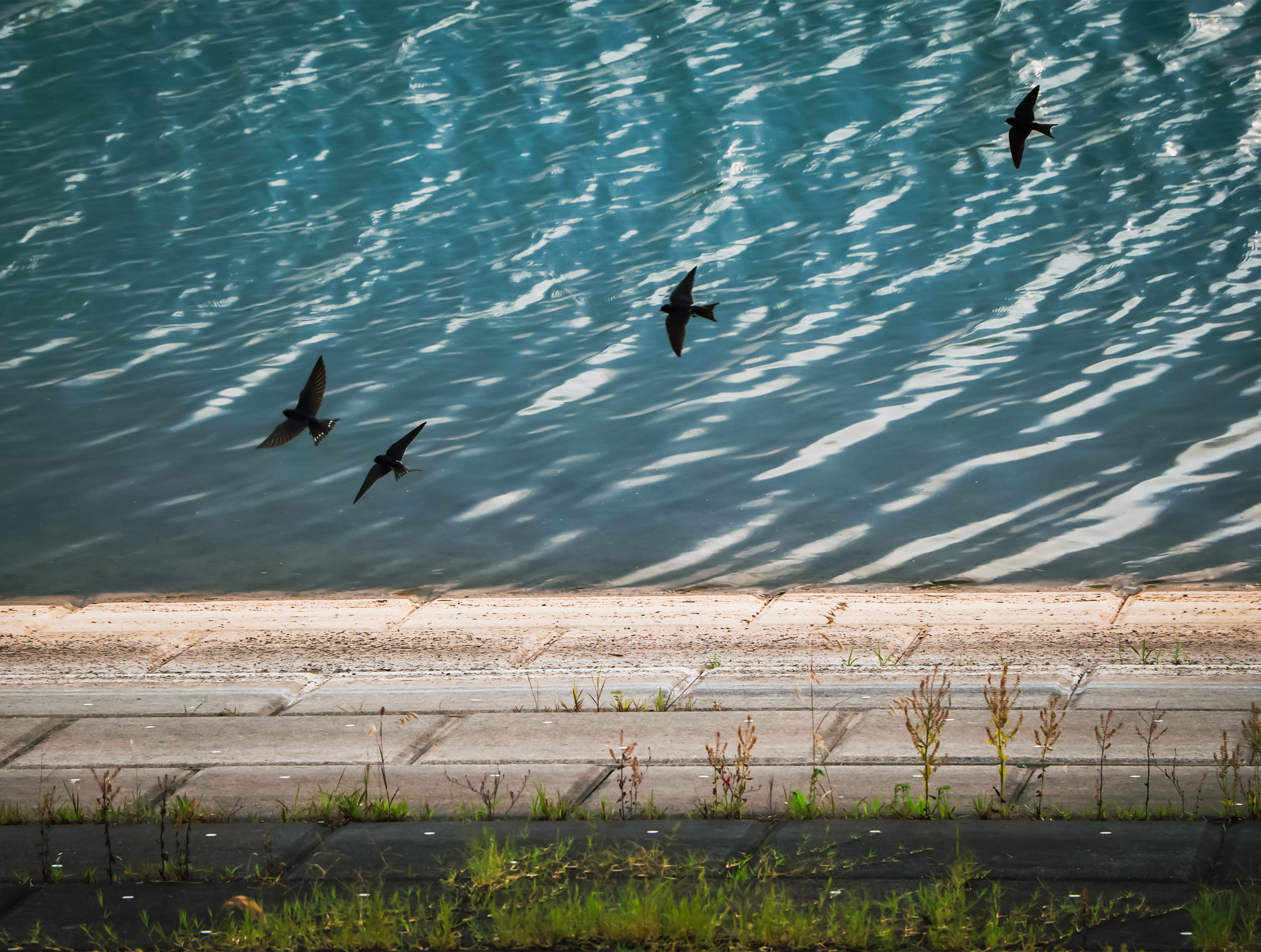 Evening Street — landscape photograph by Pavitra Mandal