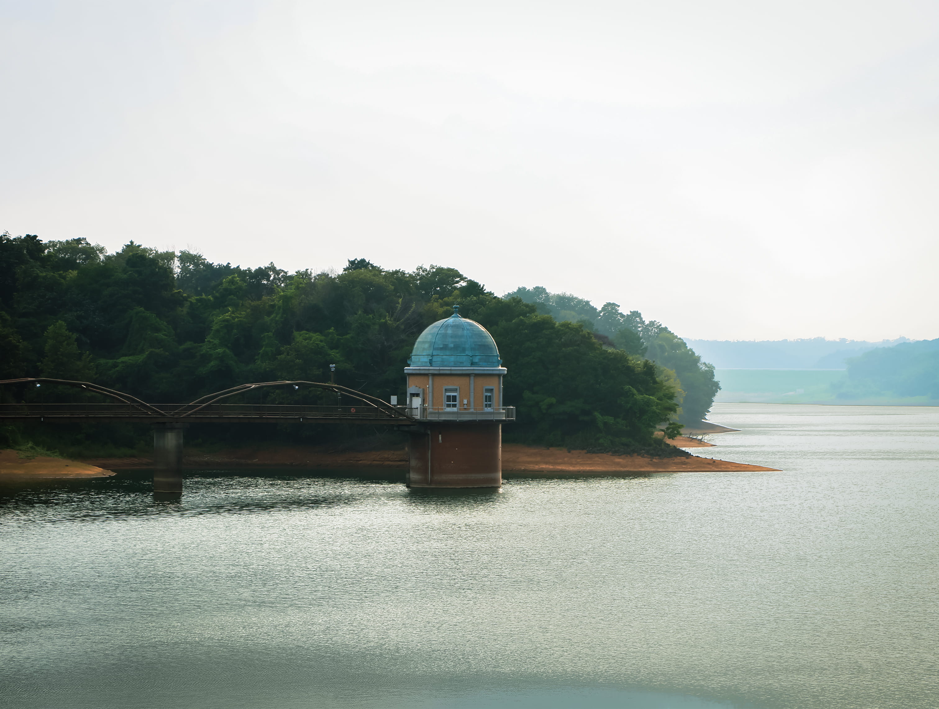 Spring Bloom — landscape photograph by Pavitra Mandal