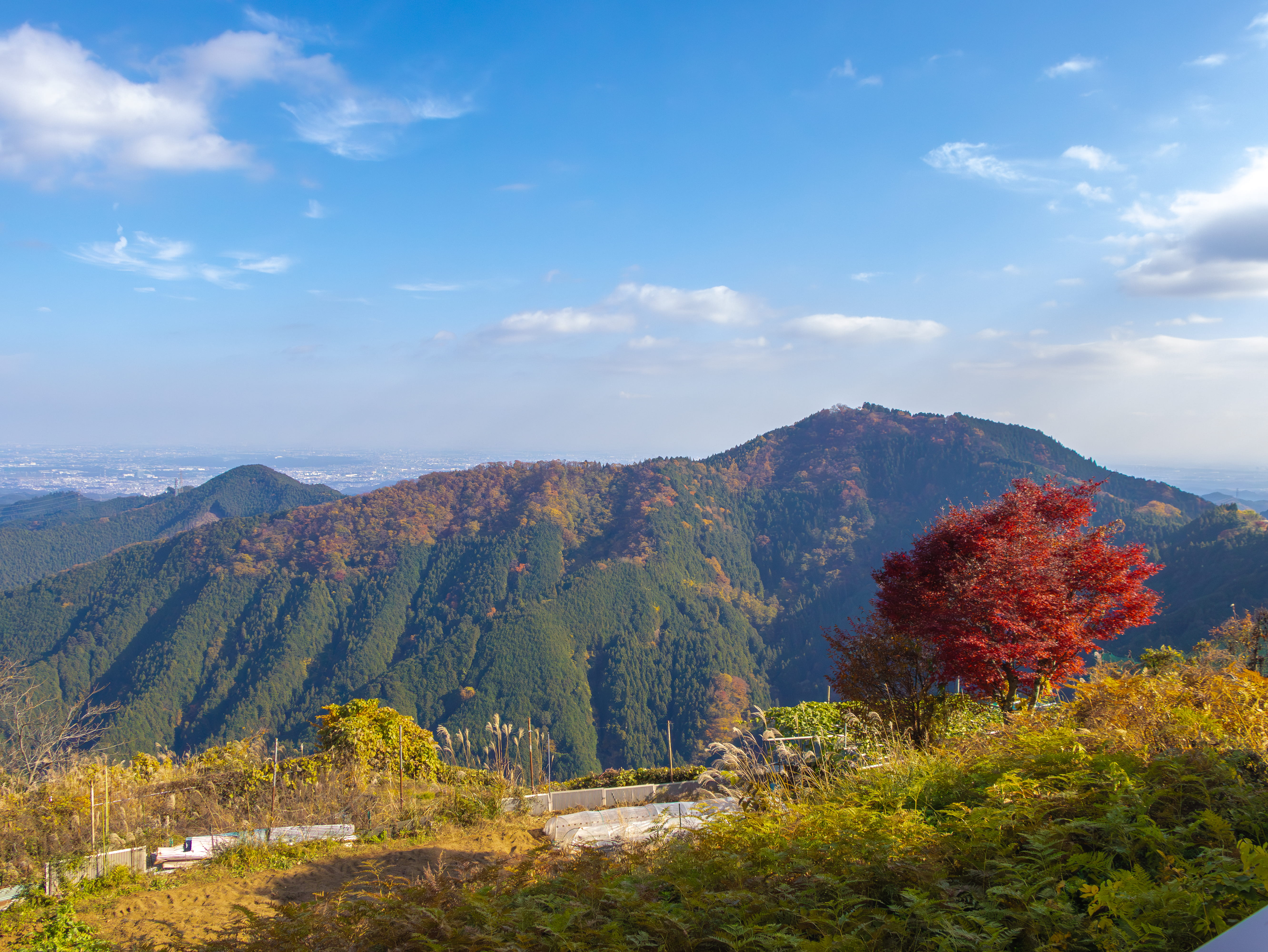 Summit — landscape photograph by Pavitra Mandal