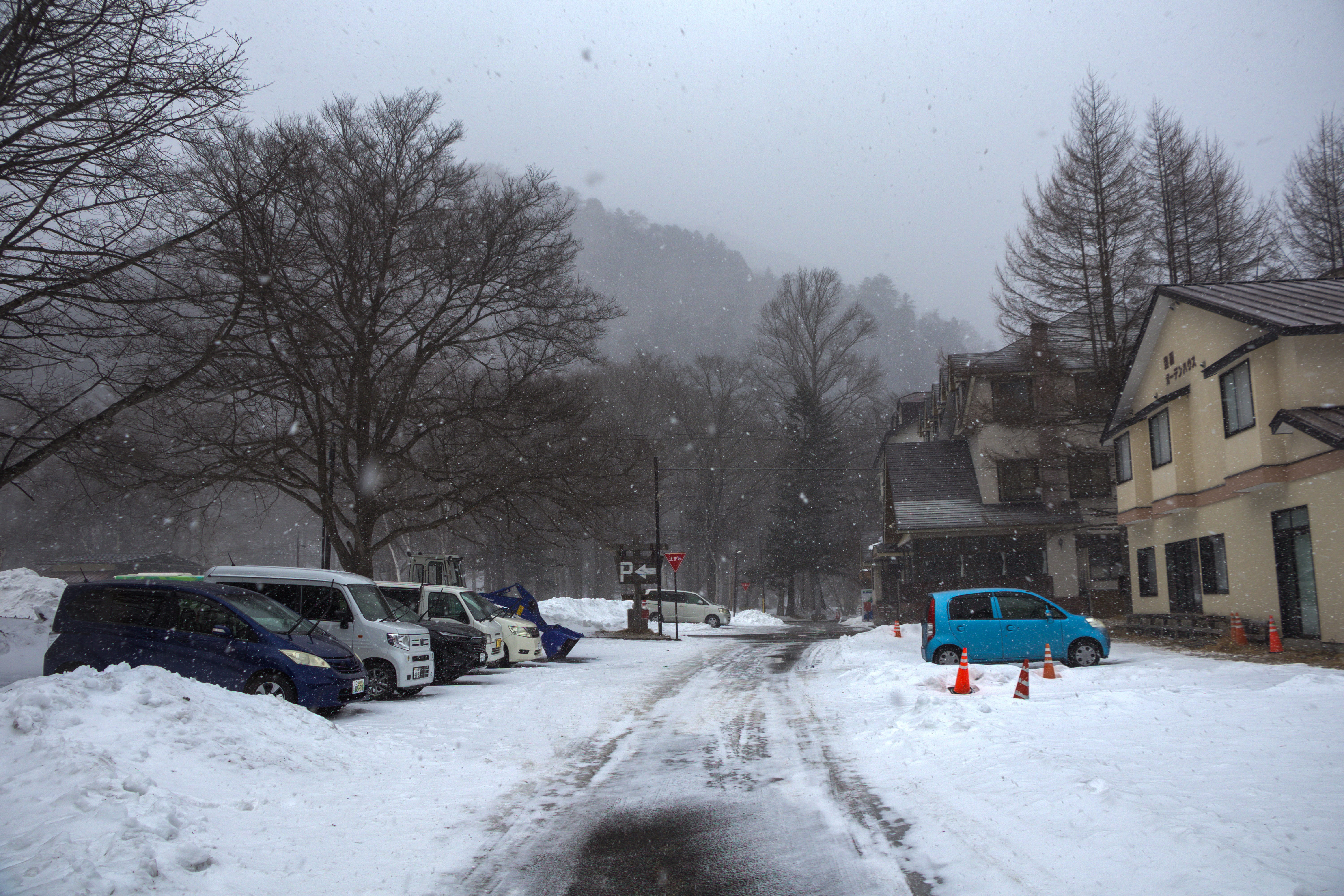 Blizzard — landscape photograph by Pavitra Mandal