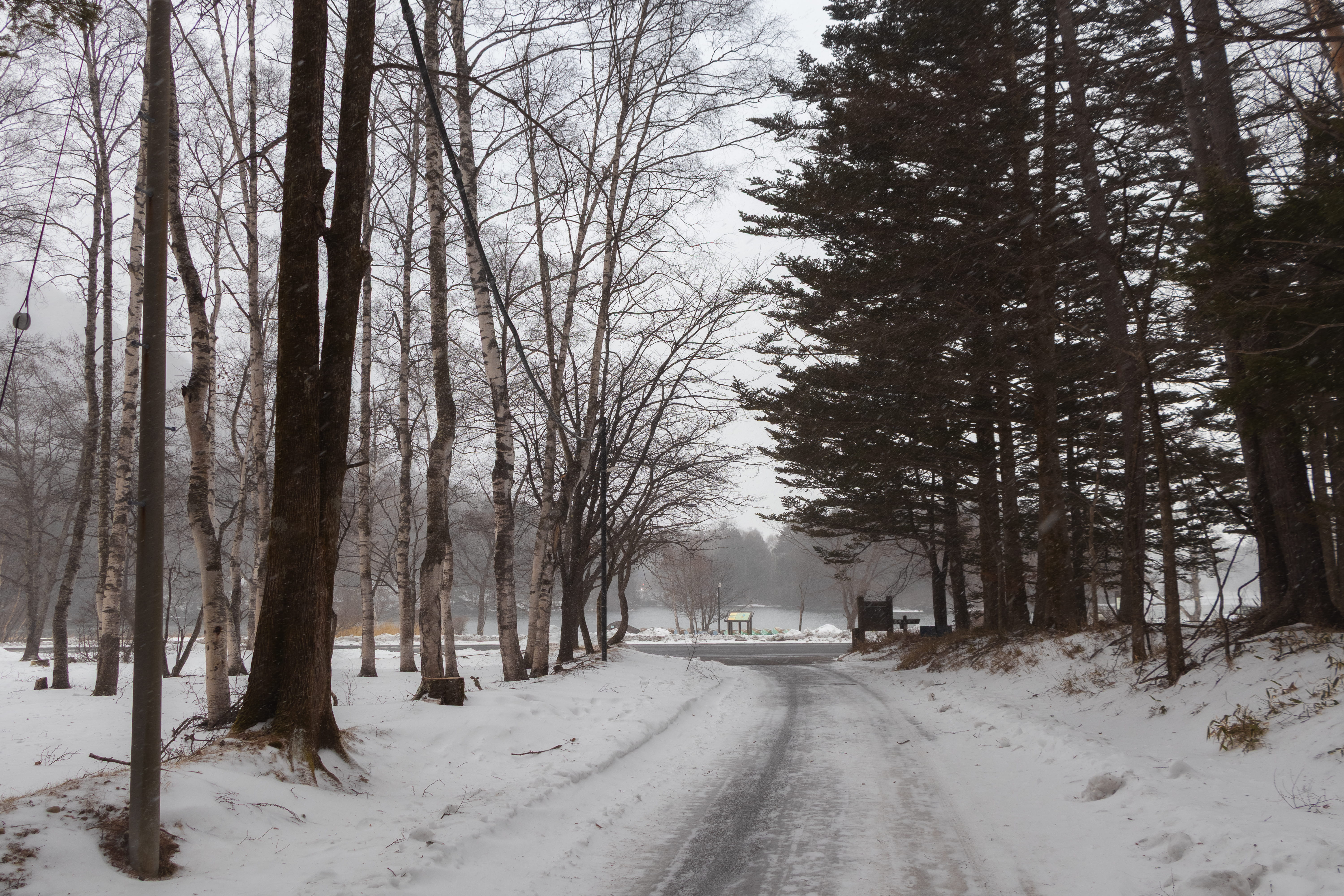 Frost Morning — landscape photograph by Pavitra Mandal