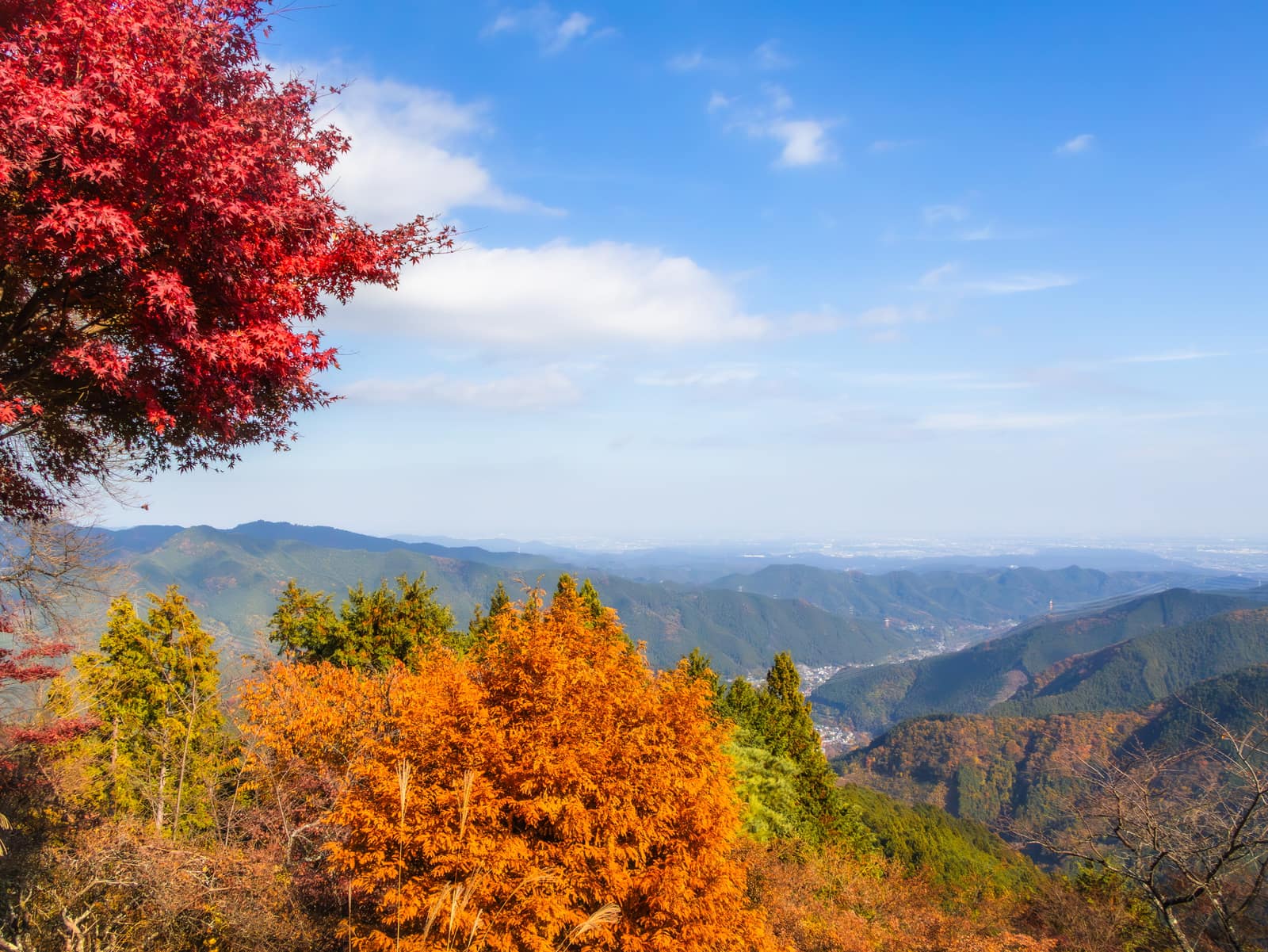 Mountain Views - Mount Mitake — landscape photograph by Pavitra Mandal