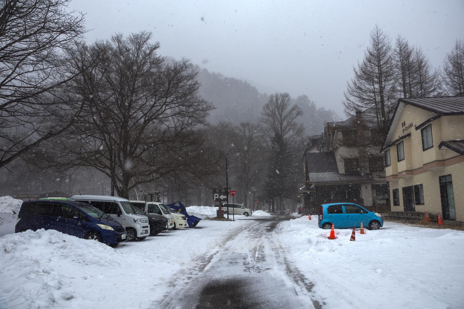 Blizzard — landscape photograph by Pavitra Mandal