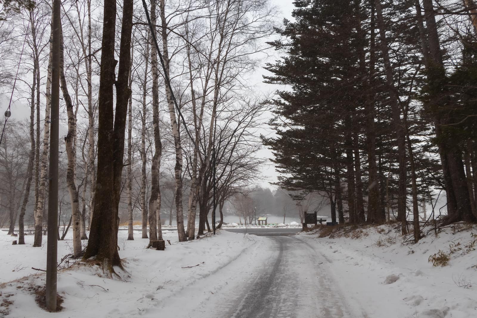 Frost Morning — landscape photograph by Pavitra Mandal