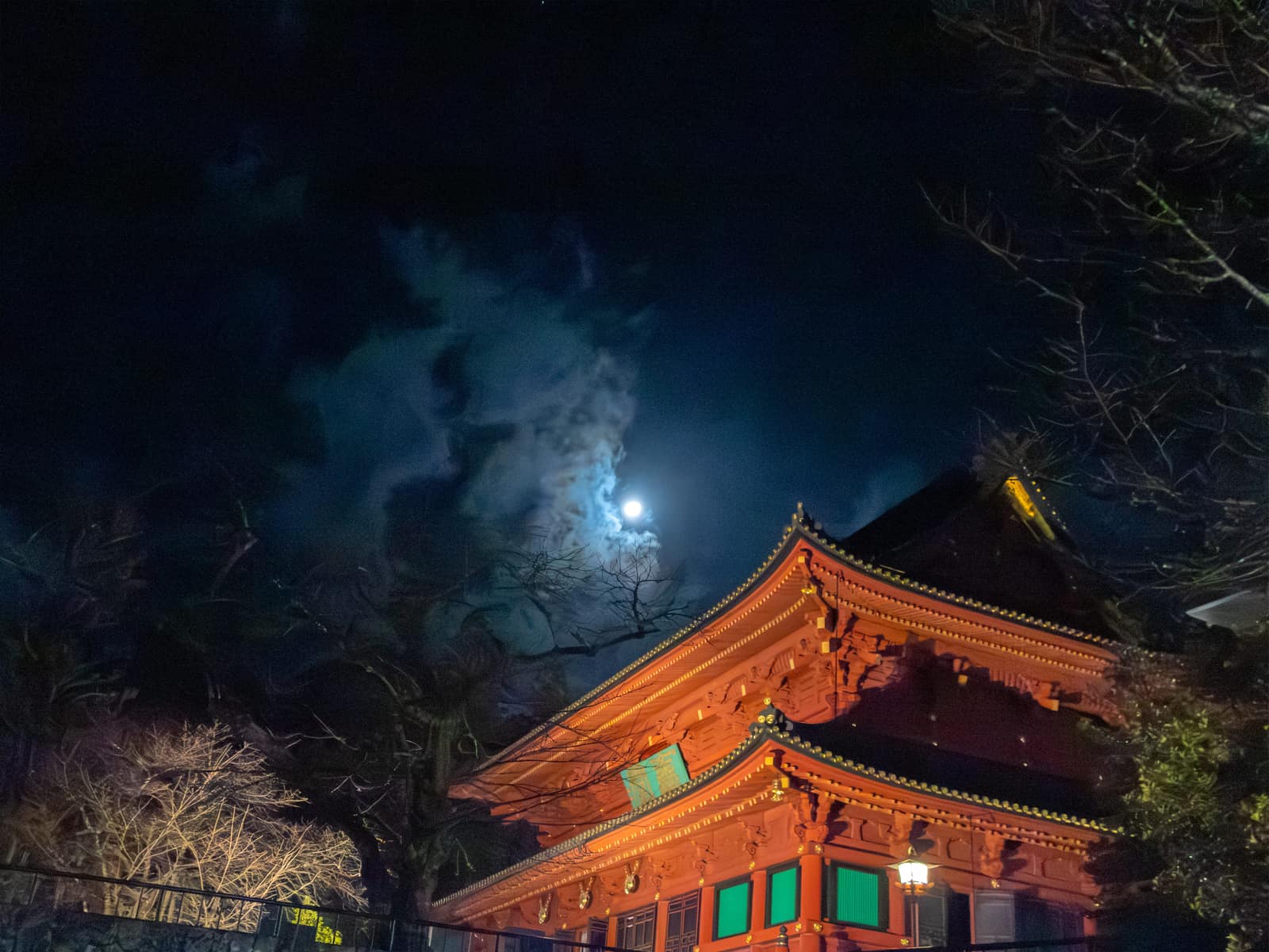 Toshogu Shrine by Moonlight — landscape photograph by Pavitra Mandal