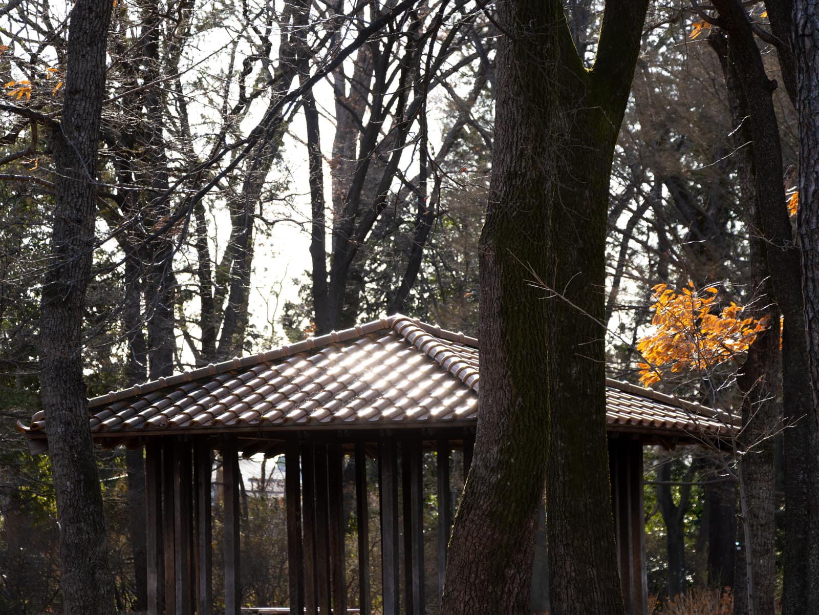 Traditional Hut in Public Garden — landscape photograph by Pavitra Mandal